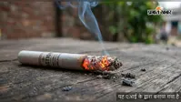 पूर्णिया में नकली सिगरेट के बड़े खेल का भंडाफोड़! गुलाबबाग राम मोहिनी चौक पर पुलिस की छापेमारी, नामी ब्रांड के नाम पर बिक रहा था माल