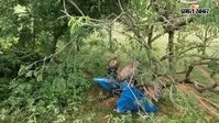 बोलेरो को बचाने में 20 फीट नीचे पलटा ट्रैक्टर, तीन घायल