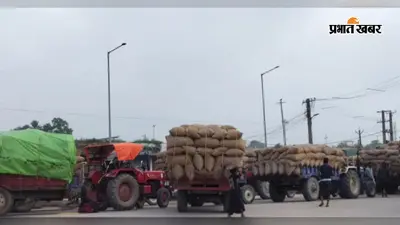 गुलाबबाग मंडी में मक्का के भाव ने क्यों मारी छलांग? 2520 रुपये तक पहुंचा दाम