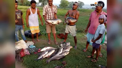 सरायकेला-खरसावां ने मछली उत्पादन में मारी बाजी, चांडिल डैम का 'केज कल्चर' बना देश का मॉडल