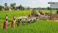 बिहार के किसानों को राहत, 3 लाख तक के लोन पर 3 प्रतिशत ब्याज का फायदा, जानिए सरकार का मकसद