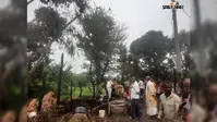 बिजली पोल के बॉक्स से निकली चिंगारी ने मचायी तबाही, दो मवेशी घर जले, पाड़ी की मौत