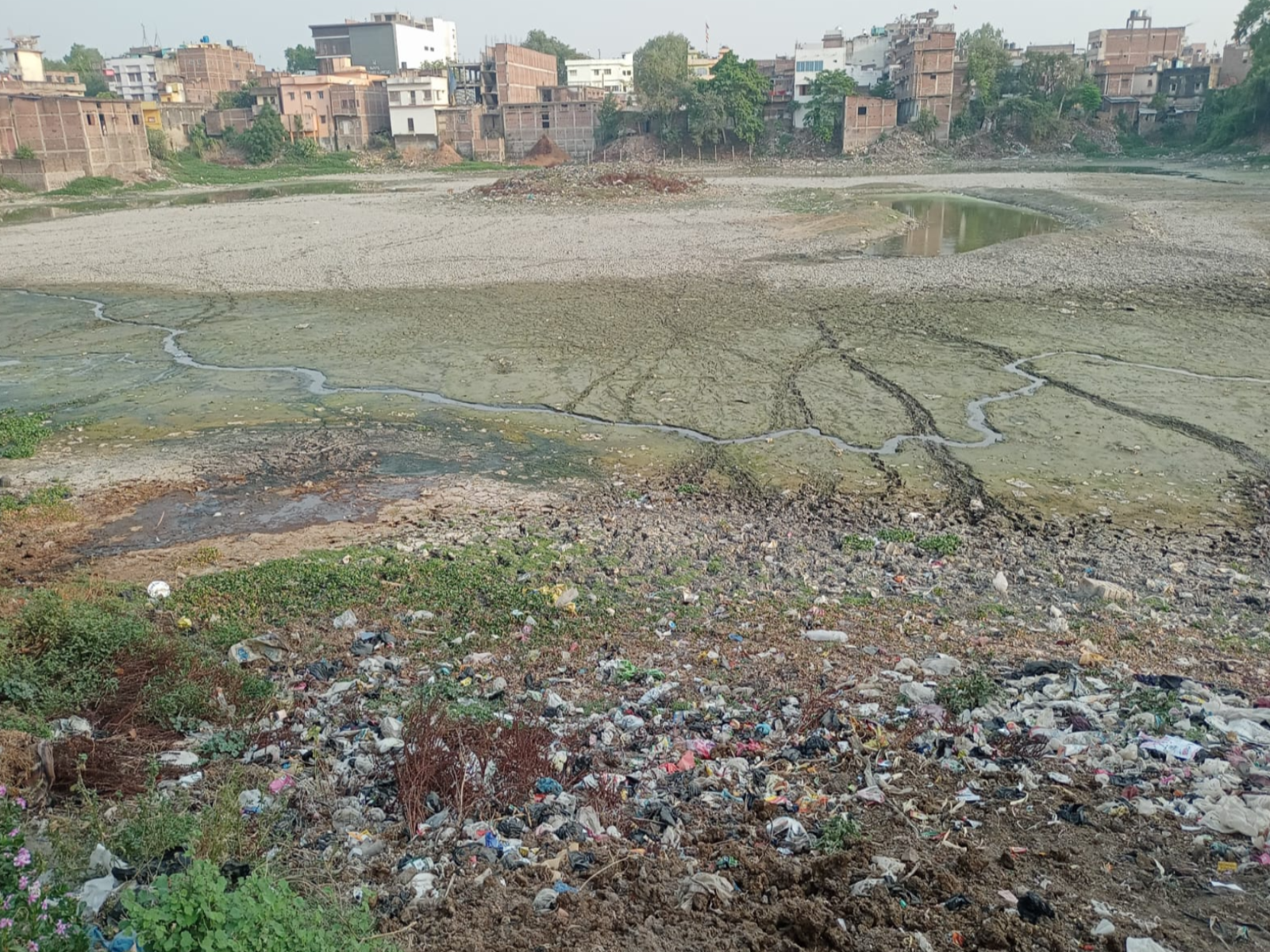 बिंद टोली तालाब