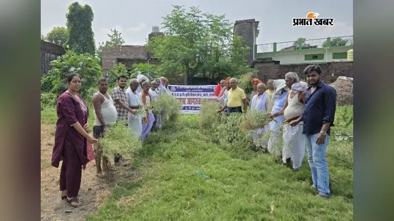 कृषि विज्ञान केंद्र ने चलाया जागरूकता अभियान, किसानों को गाजर घास नियंत्रण के दिए गुर