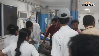 सीवान में भाई के अंतिम संस्कार में टाटा से घर पहुंचे युवक की सर्पदंश से मौत, अस्पताल में तोड़ा दम