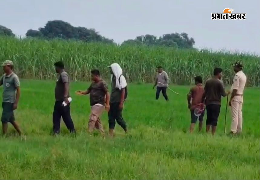   फोटो - इनरवा में खेत में फसल चरता नेपाल से भटककर पहुंचा गैंडा, रेस्क्यू में जुटी नेपाली व भारतीय वन विभाग की टीम | Prabhat Khabar Network