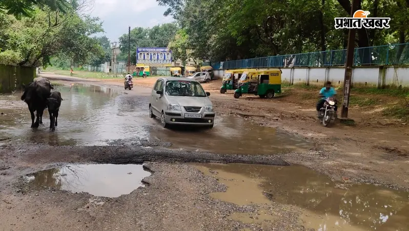 सेक्टर 12 में जर्जर सड़क बनी परेशानी, जलजमाव और गड्ढों से बढ़ा हादसे का खतरा
