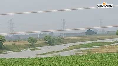 भोजपुर : शाहपुर में गंगा उफान पर, बाढ़ का खतरा बढ़ा; 20 साल में 7 बार डूबे गांव, बर्बाद हुई फसलें