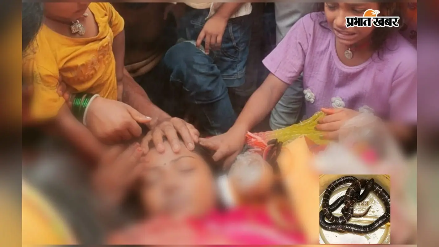 पलंग पर मौत बनकर बैठा था करैत, हाथ पड़ते ही महिला को डंसा; इलाज के दौरान मौत