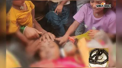 पलंग पर मौत बनकर बैठा था करैत, हाथ पड़ते ही महिला को डंसा; इलाज के दौरान मौत