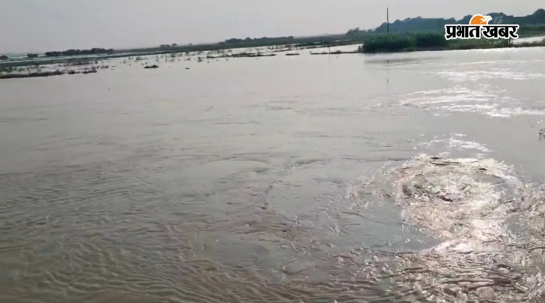 भोजपुर: बड़हरा में खतरे के निशान तक पहुंचा गंगा का जलस्तर, दियारा के लोगों की बढ़ी चिंता