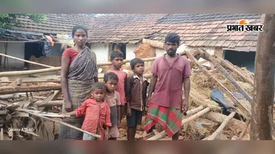 बारिश बनी आफत! भरभराकर गिरा कच्चा मकान, मलबे में दबे 8 सूकर