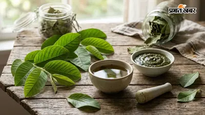 अमरूद के पत्तों में छिपे हैं सेहत और ब्यूटी के राज, इन 4 तरीकों से करें इस्तेमाल