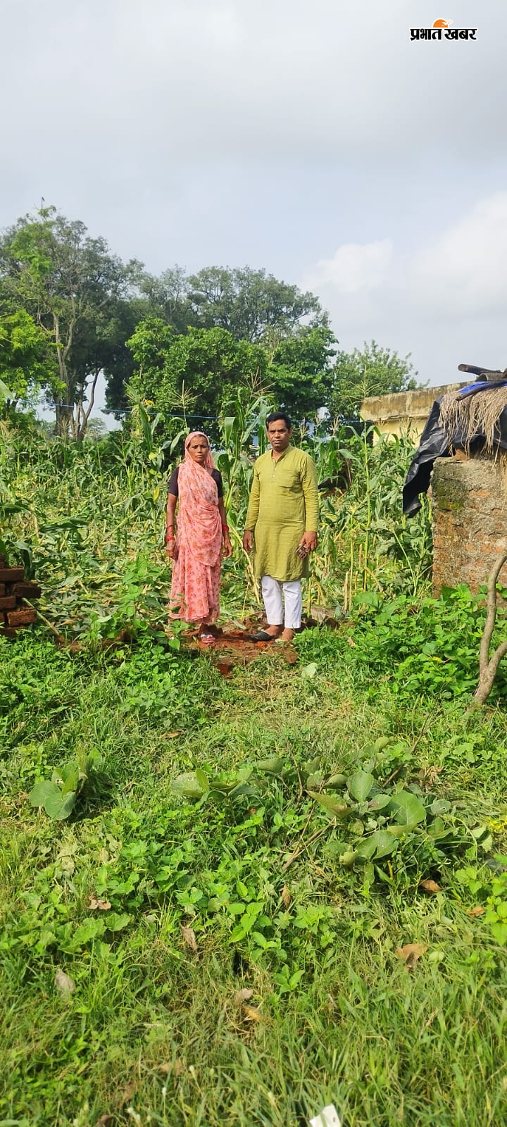 हाथियों का झुंड की तस्वीर  तोड़ी गयी चाहरदीवारी की तस्वीर | Prabhat Khabar Network