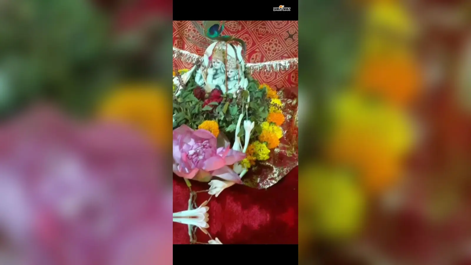 कहलगांव: दुर्लभ 'त्रिवेणी योग' में मनेगी पुत्रदा एकादशी, झूले पर विराजेंगे राधा-कृष्ण; 4 सितंबर को जन्माष्टमी