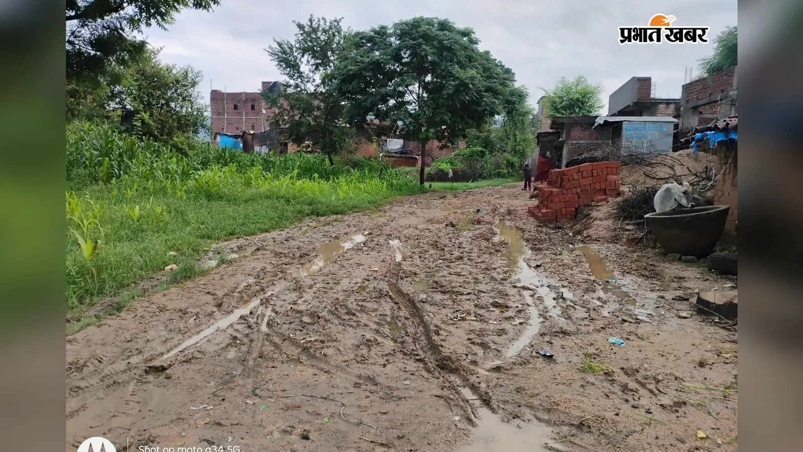 आजादी के 79 साल बाद भी पक्की सड़क का इंतजार, बरसात में कीचड़ और दलदल में तब्दील हो जाता है अनुसूचित जाति मोहल्ला