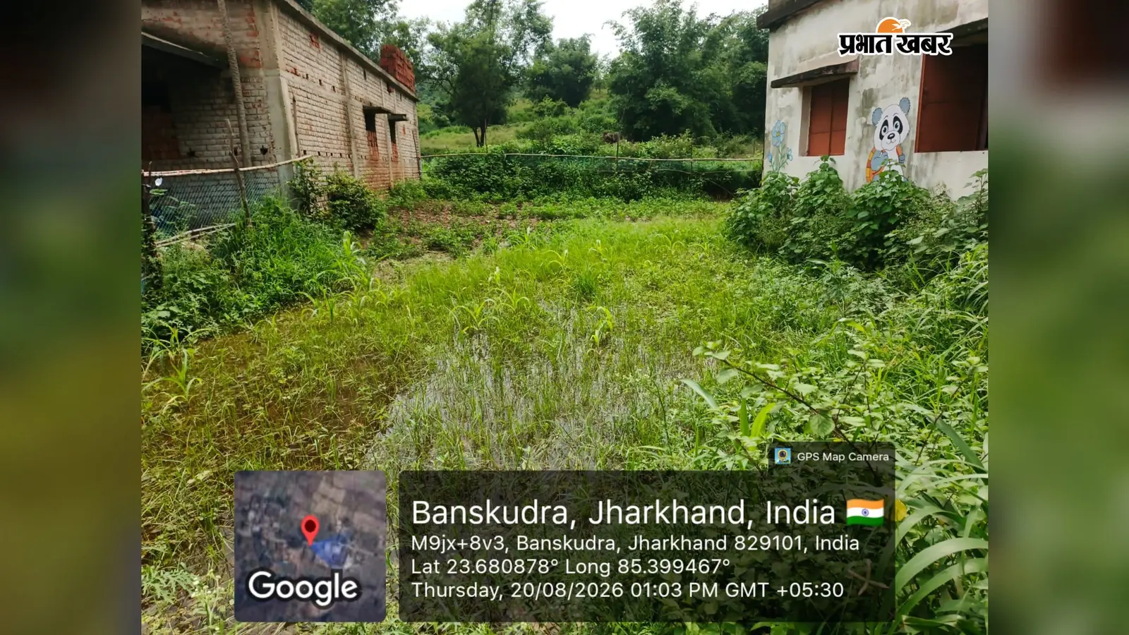 डाड़ी प्रखंड में पोषण वाटिका योजना बदहाल, कहीं जमीन का अभाव तो कहीं जाली चोरी
