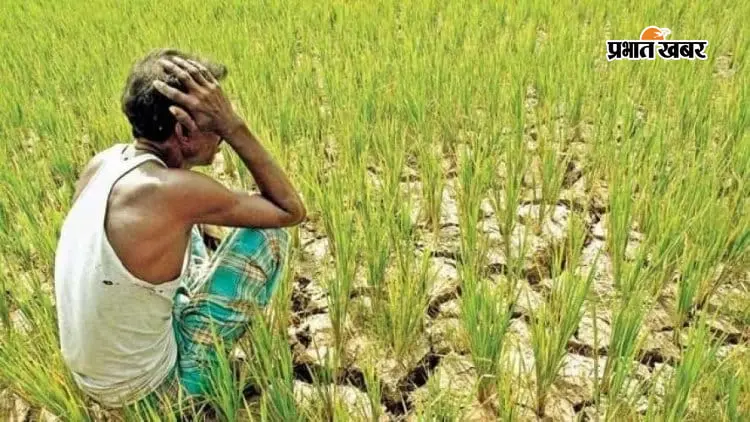 फसल बीमा में जामताड़ा फिसड्डी! 1.50 लाख के लक्ष्य से अभी भी 1.28 लाख किसान दूर