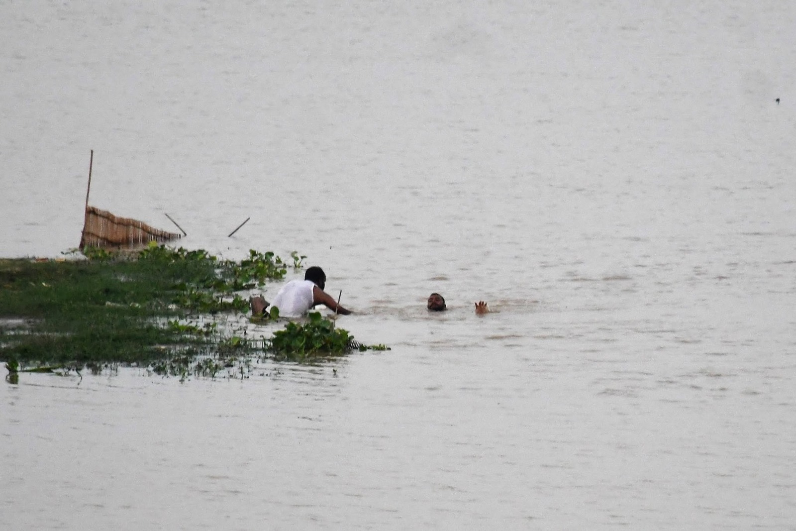 घटना ऐसे समय हुई है, जब पटना में गंगा का जलस्तर लगातार बढ़ रहा है. नदी का पानी घाटों के आसपास तेजी से फैल रहा है और कई निचले इलाकों में भी पानी पहुंचने लगा है. ऐसे में गंगा घाटों पर जाने वाले लोगों के लिए बढ़ता जलस्तर और तेज बहाव खतरे का कारण बन रहा है.
