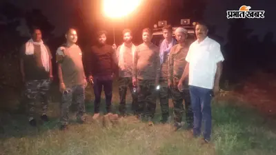 repeatede वन विभाग की टीम ने संभाला मोर्चा, हाथियों को भगाने का प्रयास जारी