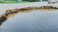 पटना: गंगा की तेज धारा से पानापुर घाट पर कटाव शुरू, दानापुर दियारा के लोगों की बढ़ी चिंता