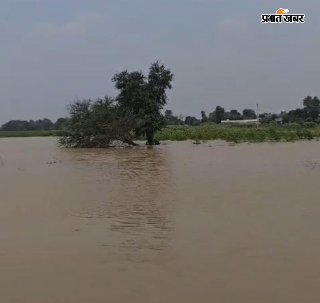 -फोटो-22-ग्रामीण इलाके में फैली बाढ़ का पानी | Prabhat Khabar Network