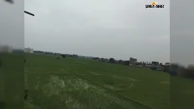 लखीसराय में खरीफ खेती ने पकड़ी रफ्तार, धान की रोपनी लक्ष्य के करीब, मक्का ने पार किया लक्ष्य