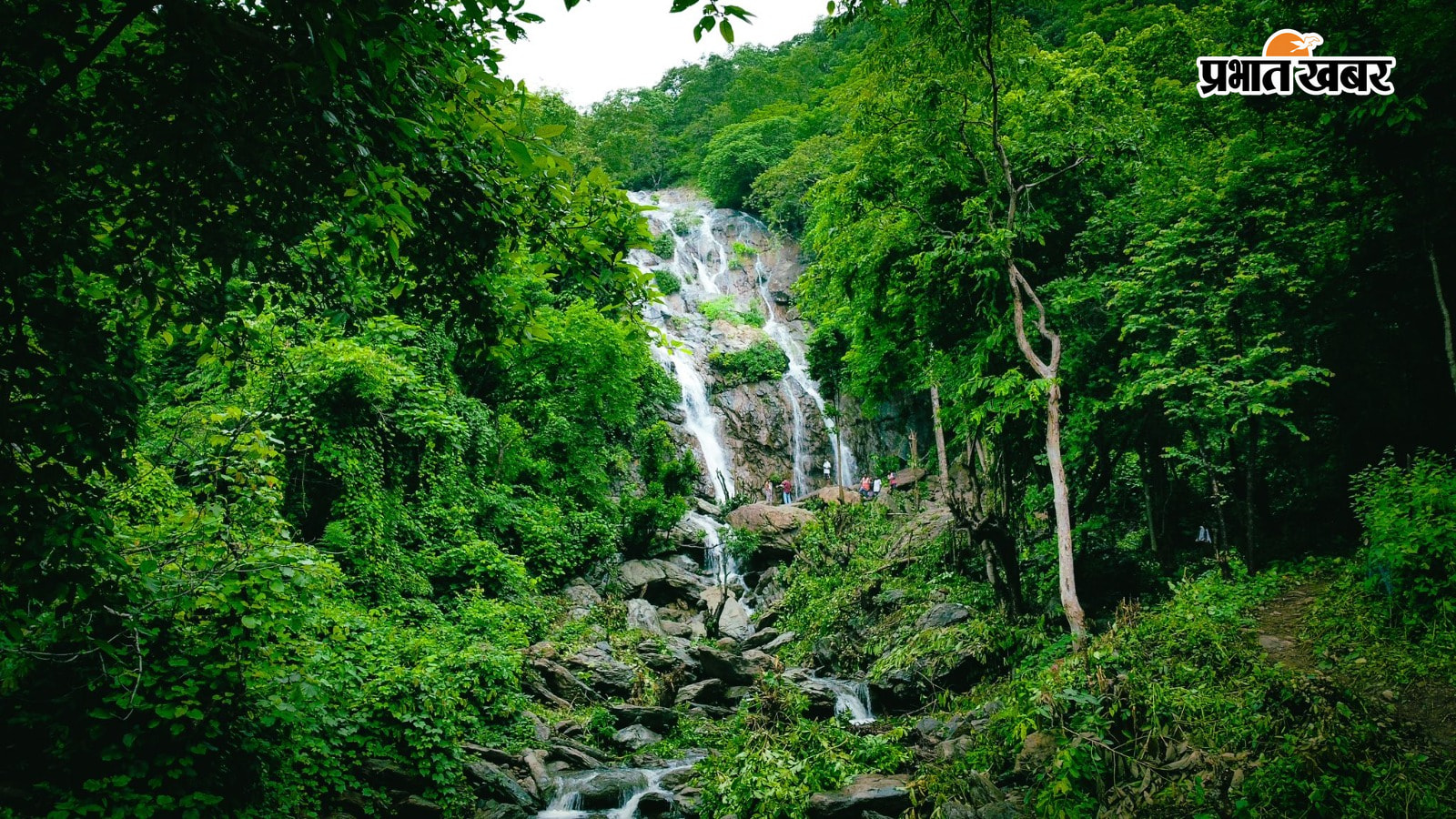 जंगलों से घिरा है दुरदुर झरना, हरियारली और बढ़ाती है शोभा.