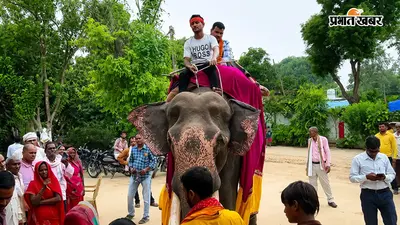 बस्ती में 10 साल बाद मिली सफलता तो पिता ने मनाया यादगार जश्न, हाथी पर बैठाकर बेटे को घुमाया गांव