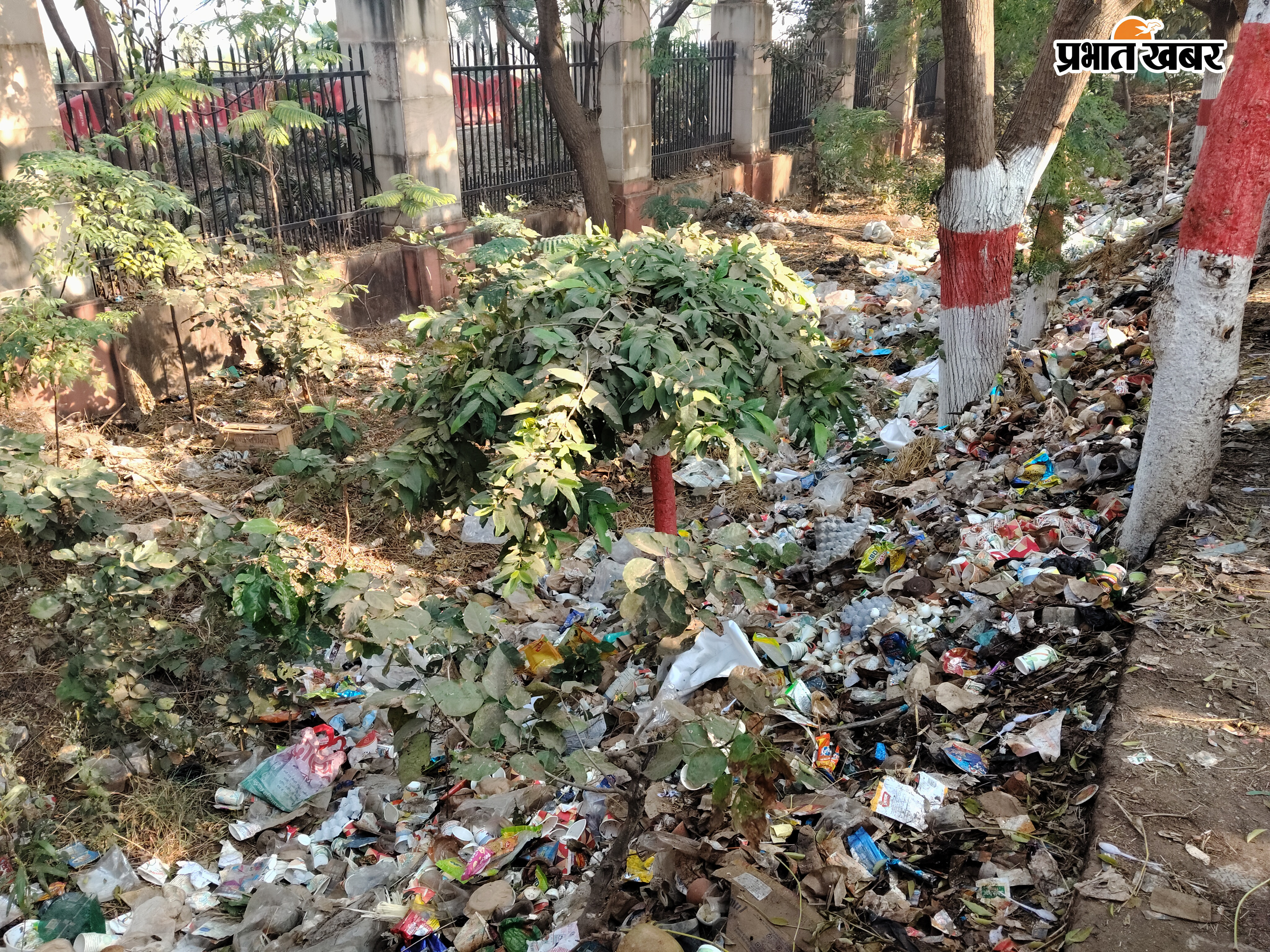 एम्स चहारदीवारी से सटे कचरे का अंबार देवीपुर | Prabhat Khabar Network