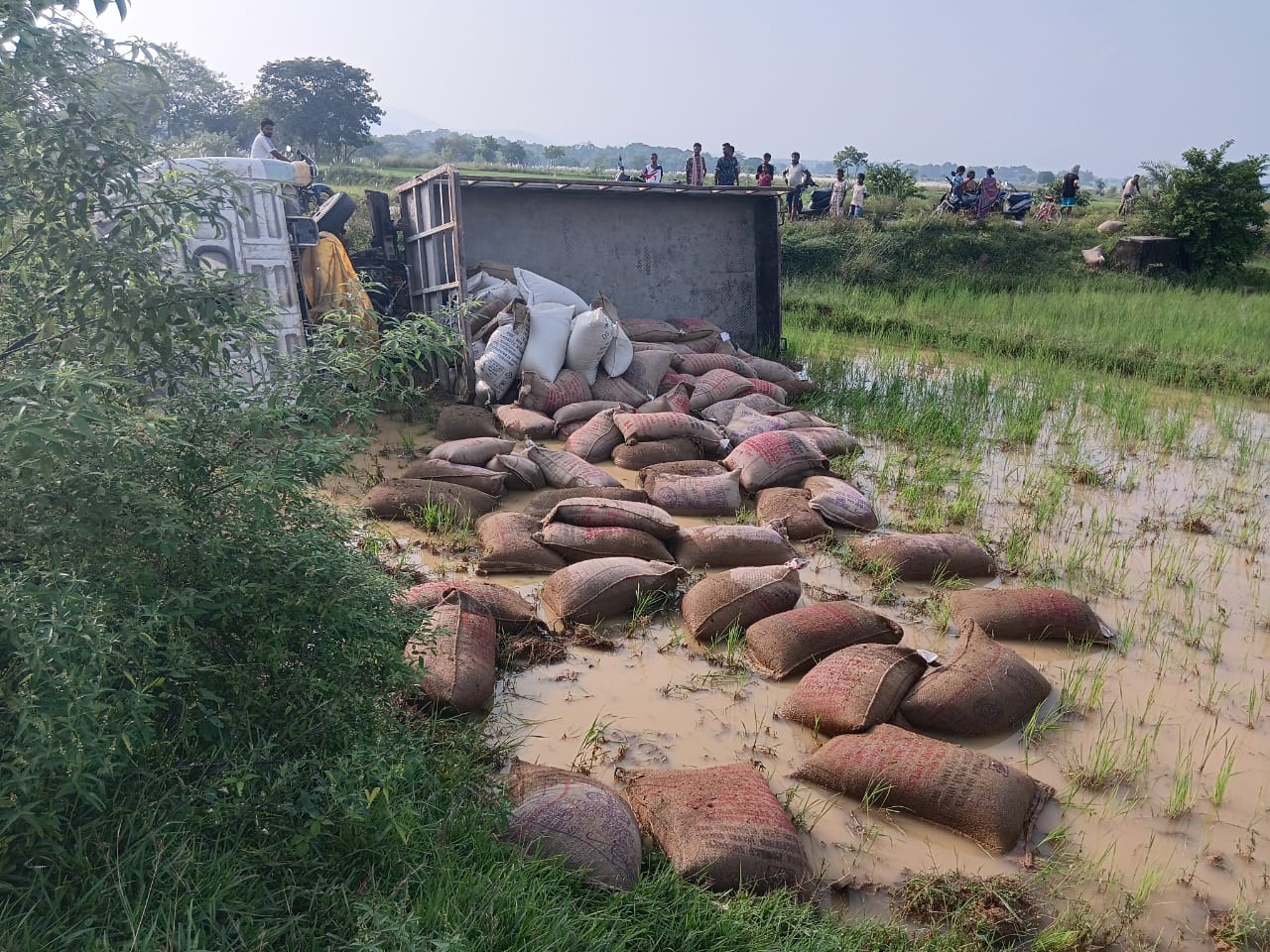 खेत में पलटा ट्रक व बिखरे चावल के बोरे.