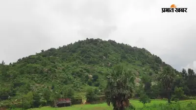 कोरोना से पहले वीरान हो गया था मोहम्मदगंज का डिहई पहाड़, ग्रामीणों ने सात साल में लौटा दी हरियाली