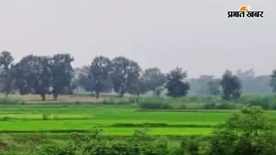 खेती पूरी होते ही खाद की चिंता, तय कीमत से ज्यादा वसूली की शिकायत; कालाबाजारी पर निगरानी जरूरी