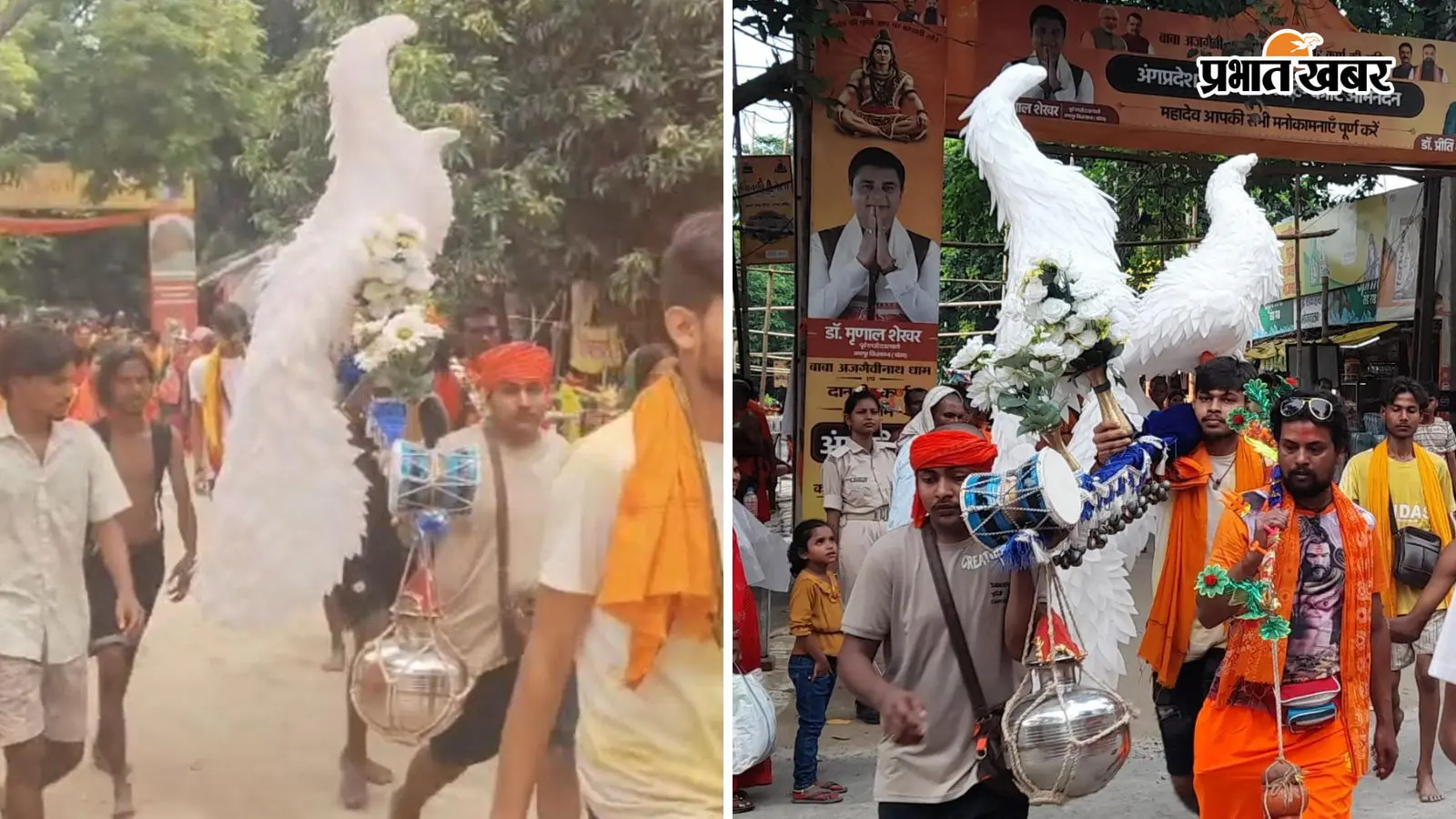 सुलतानगंज में दिखी अनोखी कांवर, विशाल मोर लेकर बाबा धाम निकले बंगाल के कांवरिये
