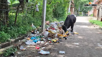 मेदिनीनगर में एक सप्ताह से कूड़ा नहीं उठा, बारिश में सड़ांध से लोग परेशान; कई इलाकों में लगा कचरे का अंबार