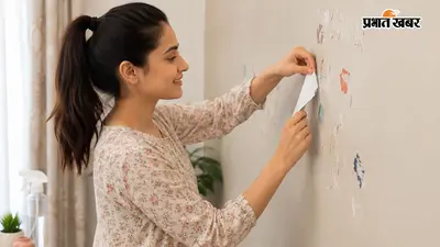 दीवार से पुराने स्टिकर हटाने हैं? पेंट खराब किए बिना आजमाएं ये आसान तरीके