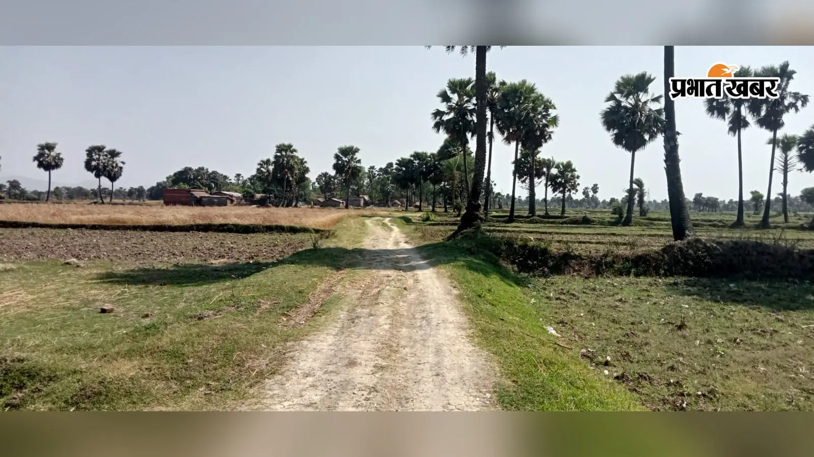 न सड़क, न पानी... गोड्डा के गड़ी पड़वारा से विकास ने फेरा मुंह, मूलभूत सुविधाओं को तरस रहे लोग