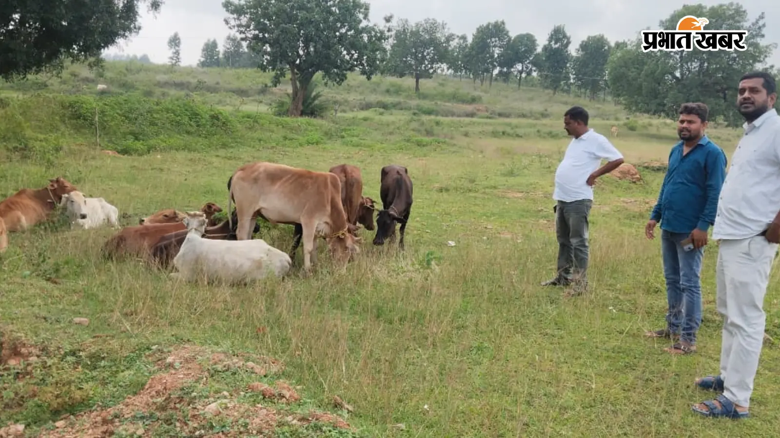 मवेशी लदा पिकअप जब्त, 2 तस्कर गिरफ्तार; छत्तीसगढ़ से झारखंड के बूचड़खानों में ले जाने का आरोप