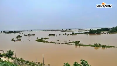 Bihar Flood: कम बारिश फिर भी उफान पर गंगा-सोन समेत कई नदियां, इन जिलों में बढ़ा बाढ़ का खतरा