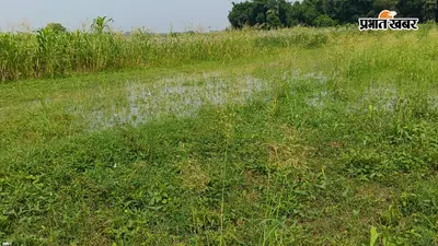 गंगा का जलस्तर बढ़ने से हरोहर और किऊल नदी उफान पर, फसलों में घुसा पानी