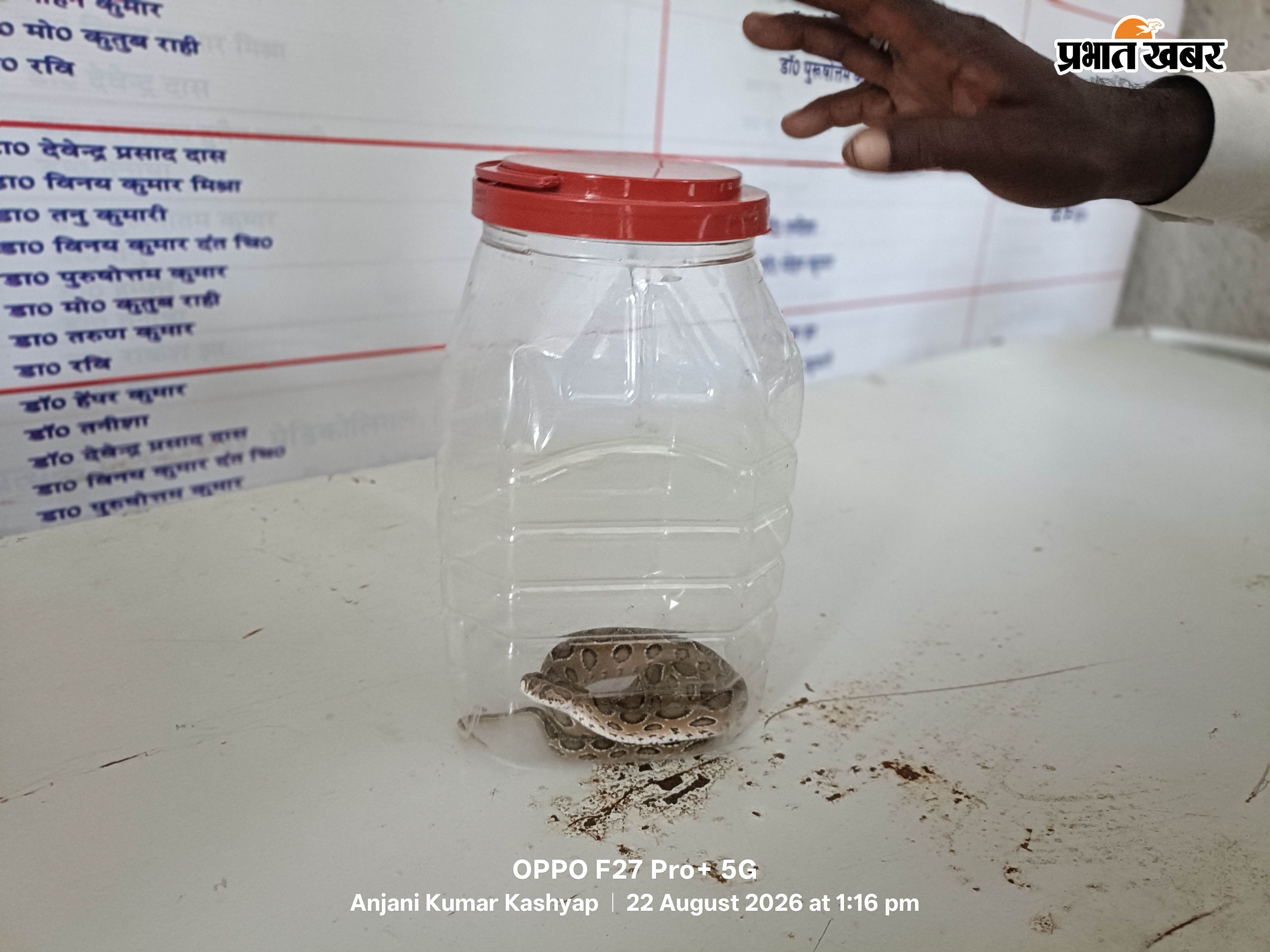 चप्पल पहनते ही पैर में डसा जहरीला रसाल वाइपर, 16 वर्षीय छात्रा अस्पताल में भर्ती | Prabhat Khabar Network
