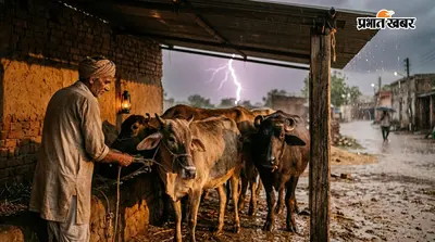 किसान ध्यान दें: ठनका से अपने पशुओं को कैसे बचाएं? पढ़ें सरकारी एडवाइजरी, 22 से 26 अगस्त तक मानसूनी बारिश