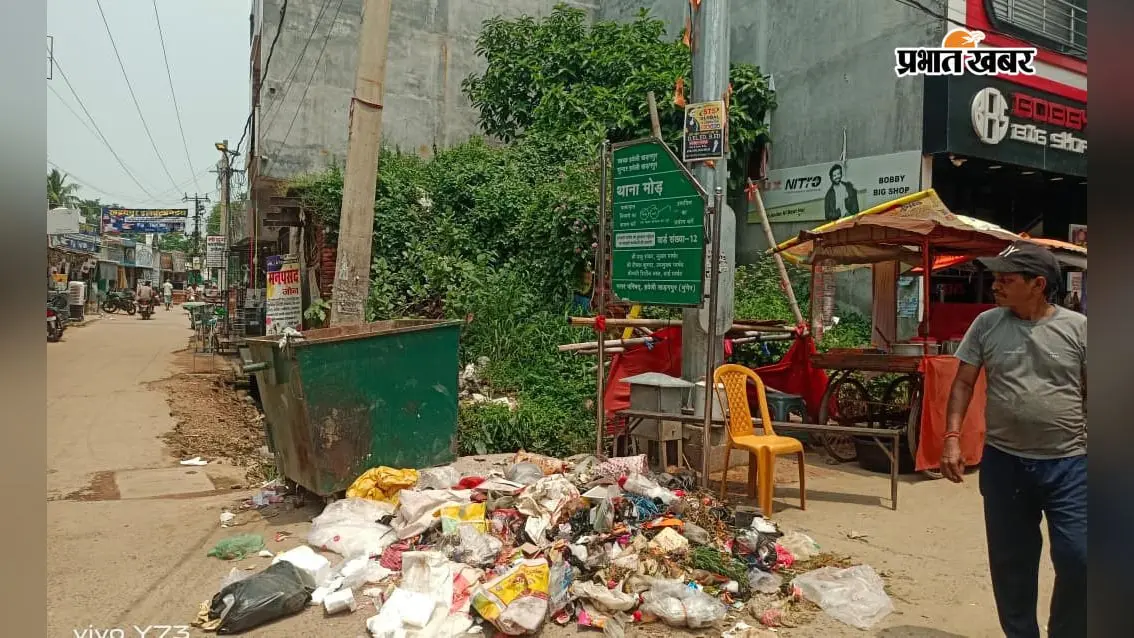 नगर परिषद के पास कचरा फेंकने की जगह नहीं, हवेली खड़गपुर में बदबू और गंदगी से लोग परेशान