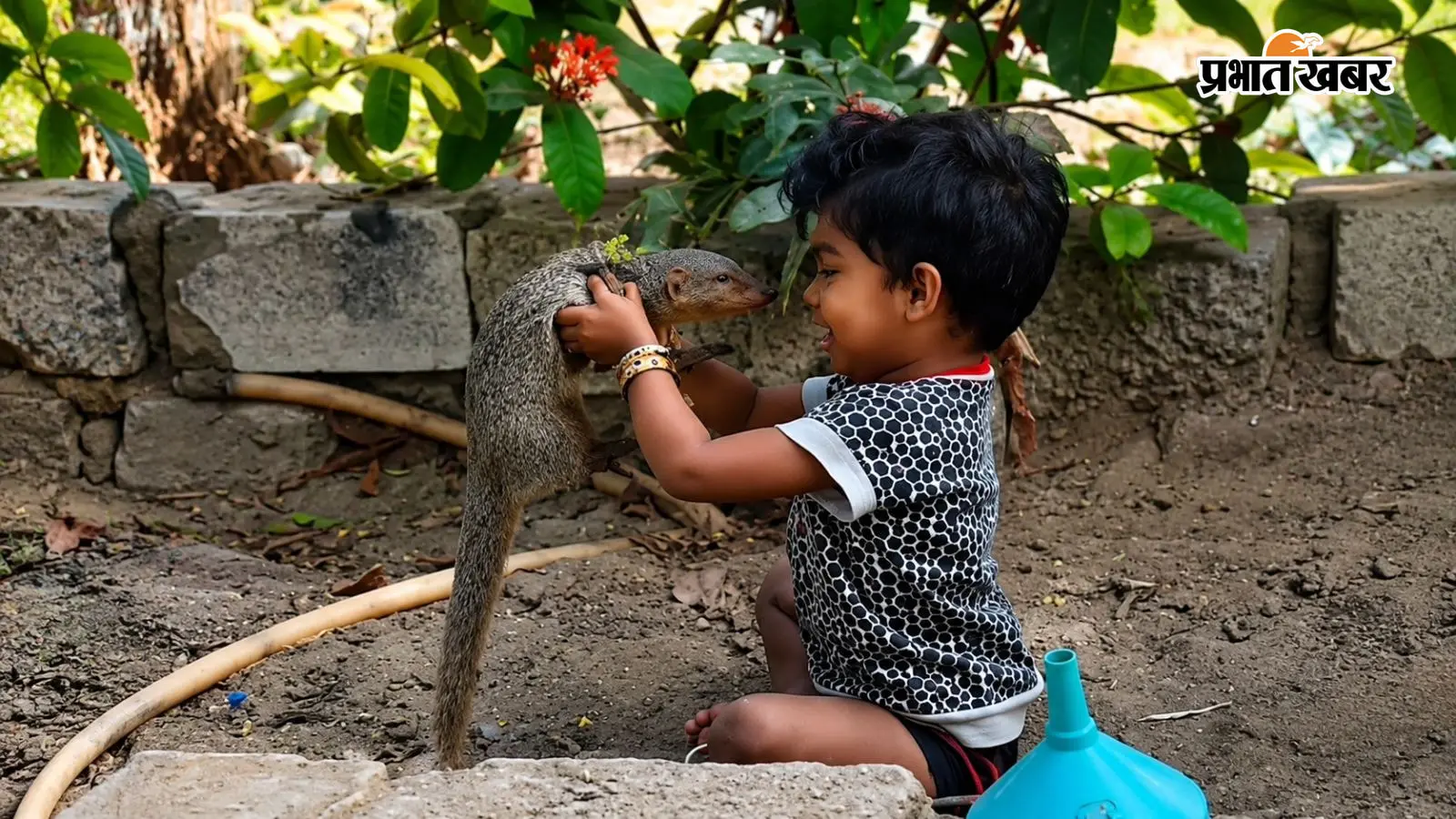 न डर, न घबराहट… खेत से निकला नेवला बच्ची के साथ करने लगा ऐसी हरकत, मां ने देखा तो रह गई दंग, गोरखपुर का वीडियो वायरल
