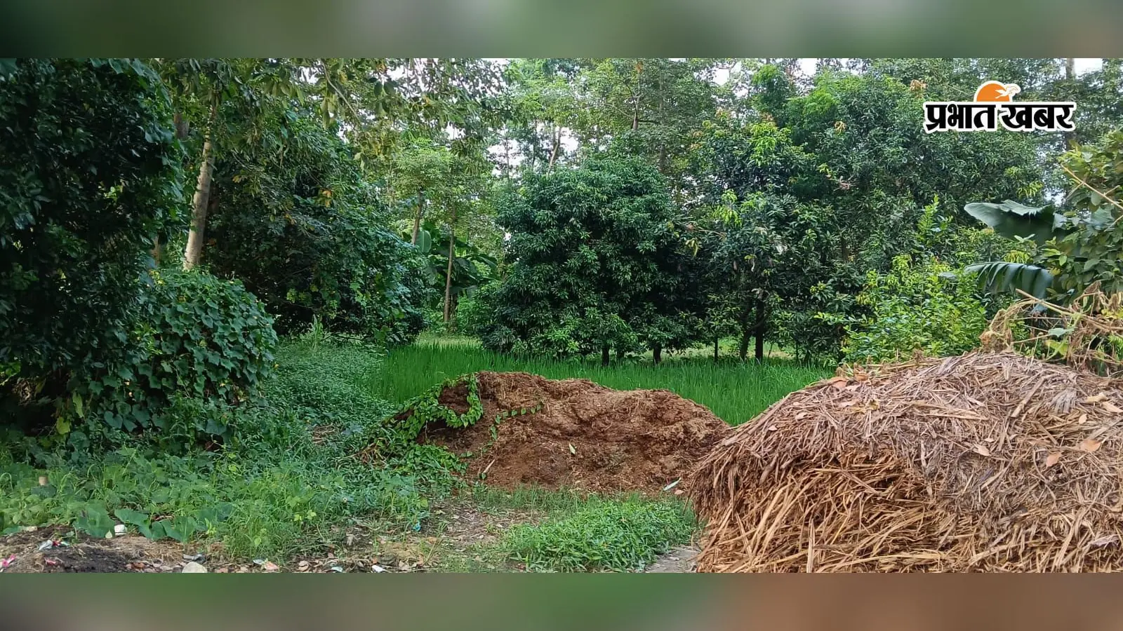 सीतामढ़ी: 46 साल से जमीन का इंतजार, कई विस्थापित दुनिया छोड़ गए, 4.22 एकड़ पर आज भी दूसरों का कब्जा