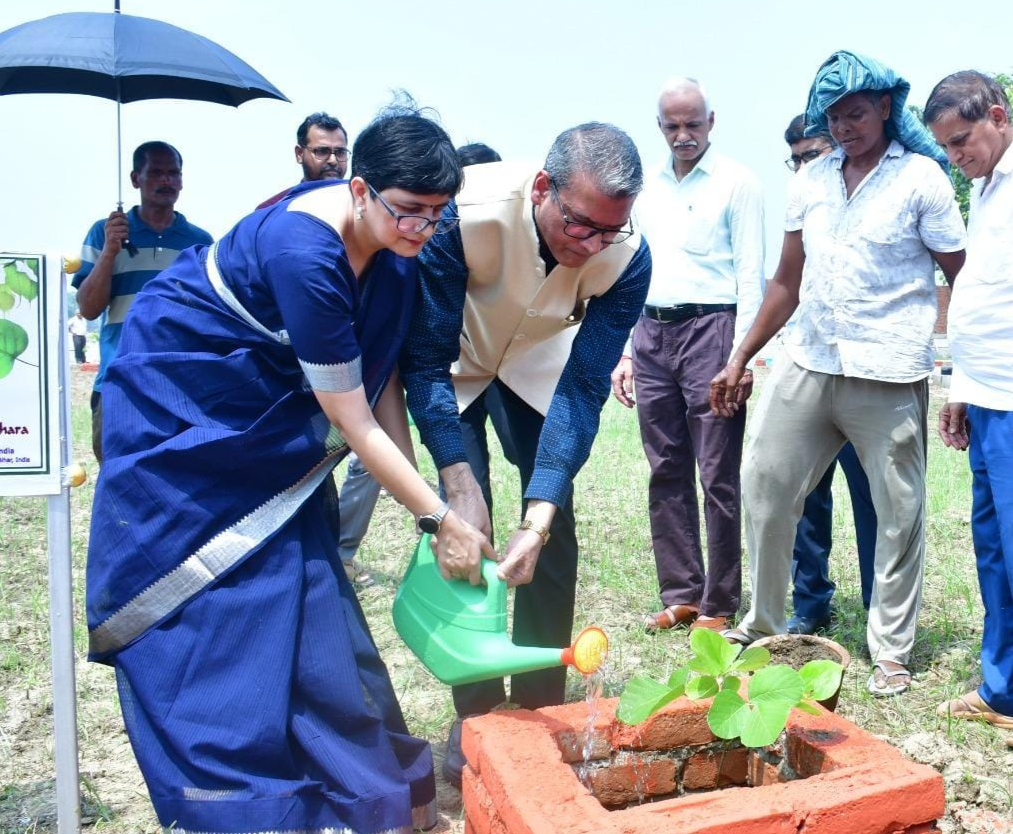 नव नालंदा महाविहार सम विश्वविद्यालय, नालंदा के कुलपति प्रो. सिद्धार्थ सिंह पौधारोपण करते हुये | Prabhat Khabar Network