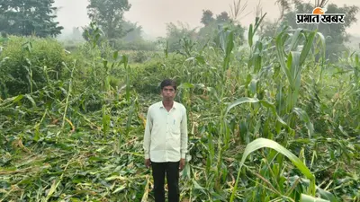 Ramgarh News: आधी रात 30 हाथियों का धावा, आखिर कितनी फसल हुई तबाह