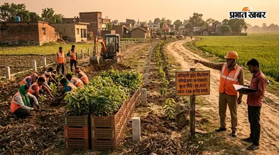 मोतिहारी की 16 पंचायतों में लगेंगे 38,400 पौधे, पौधरोपण पर खर्च होंगे 1.68 करोड़ रुपये