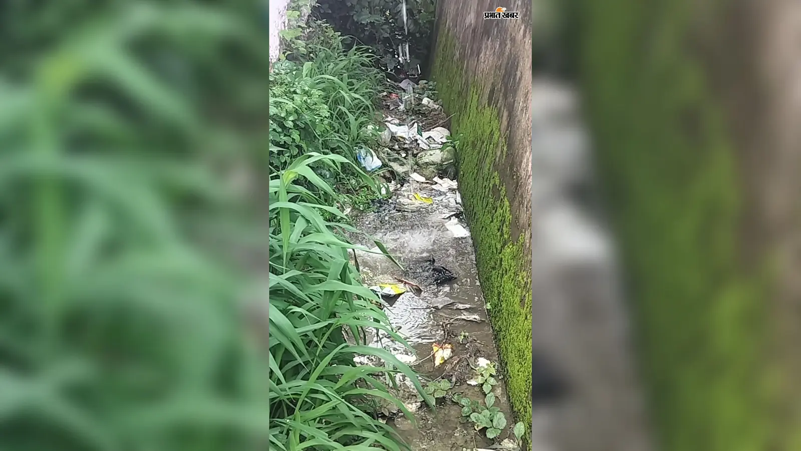 कैमूर : नुआंव के स्कूल में 361 बच्चे गर्मी में बिना पंखे, पानी की टंकी से व्यर्थ बह रहा पानी, व्यवस्था पर सवाल