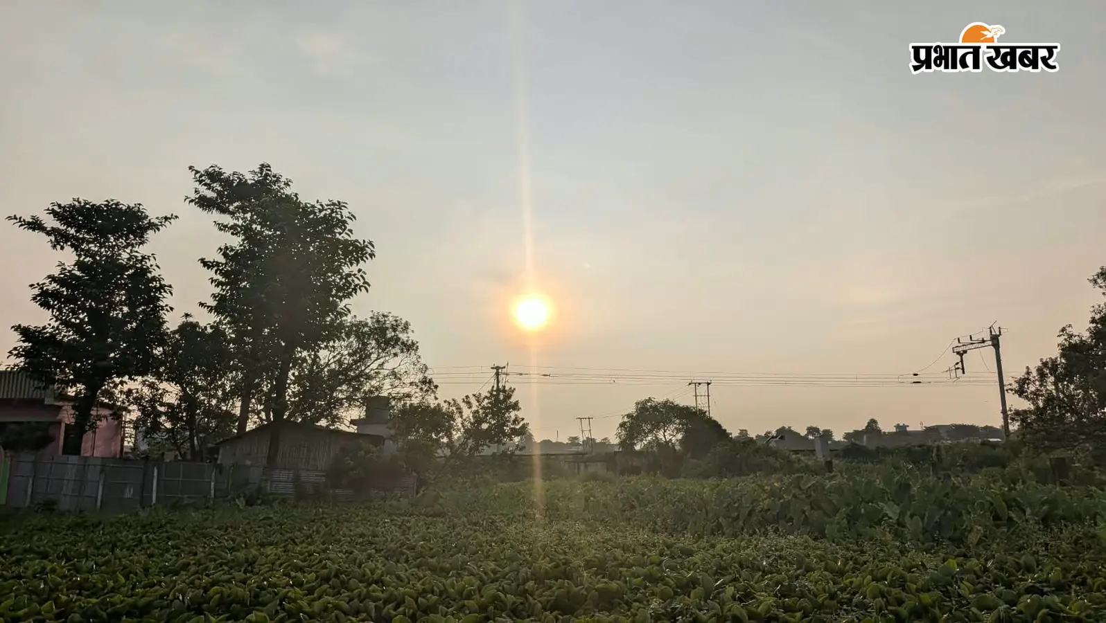 किशनगंज में सुबह खिली धूप, दोपहर बाद बदल सकता है मौसम